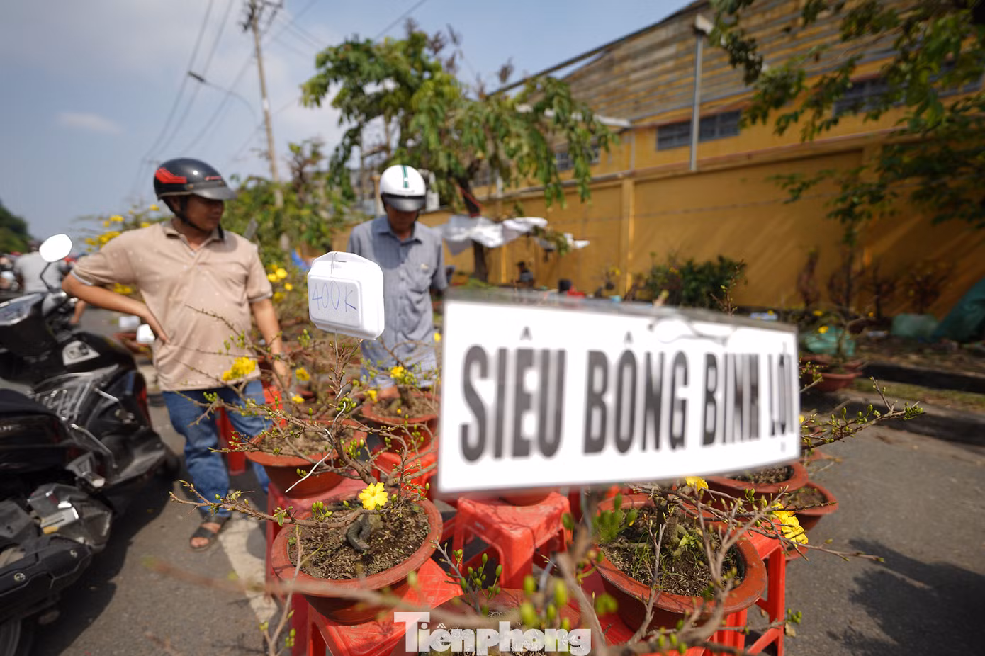 "Đến gần trưa mà chợ còn đông lắm. Tôi đem hai chậu mai Con Cọp này ra câu khách, kêu giá 6 triệu một cặp, có người trả 5 triệu mà tôi không bán. Bán tiếc lắm, đem ra câu khách thôi", anh Tuấn, nhà vườn Bến Tre dí dỏm.