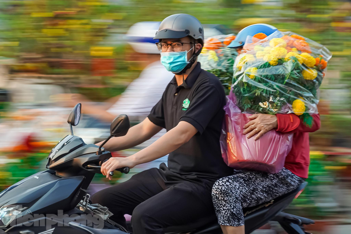 Hai chậu bông thọ vừa được "chốt đơn", chuẩn bị đón xuân ở nhà chủ mới.