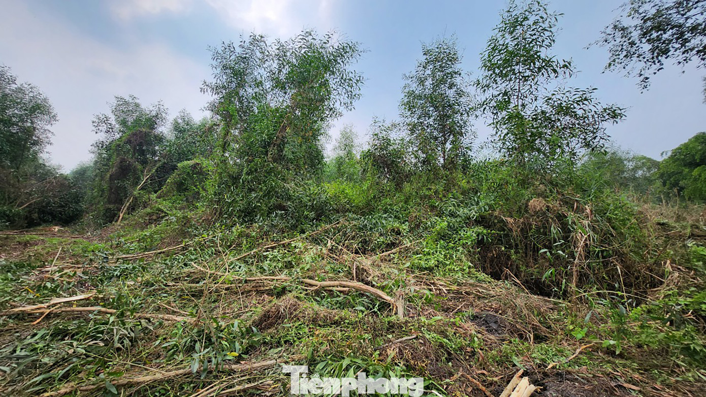 Người dân hiếu kỳ tìm đến nơi nghi phạm đã ẩn nấp. &quot;Cơ quan chức năng đã bắt được nghi phạm nên người dân yên tâm rồi, mấy ngày nay tôi không dám ra đường&quot;, một người dân chia sẻ.