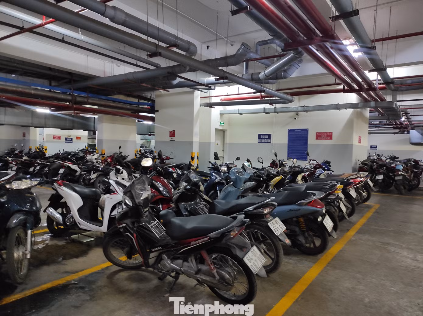 Xe được xếp ngay ngắn. Sau vụ cháy, toàn bộ hệ thống PCCC tại chung cư này đã được thay mới hoàn toàn.