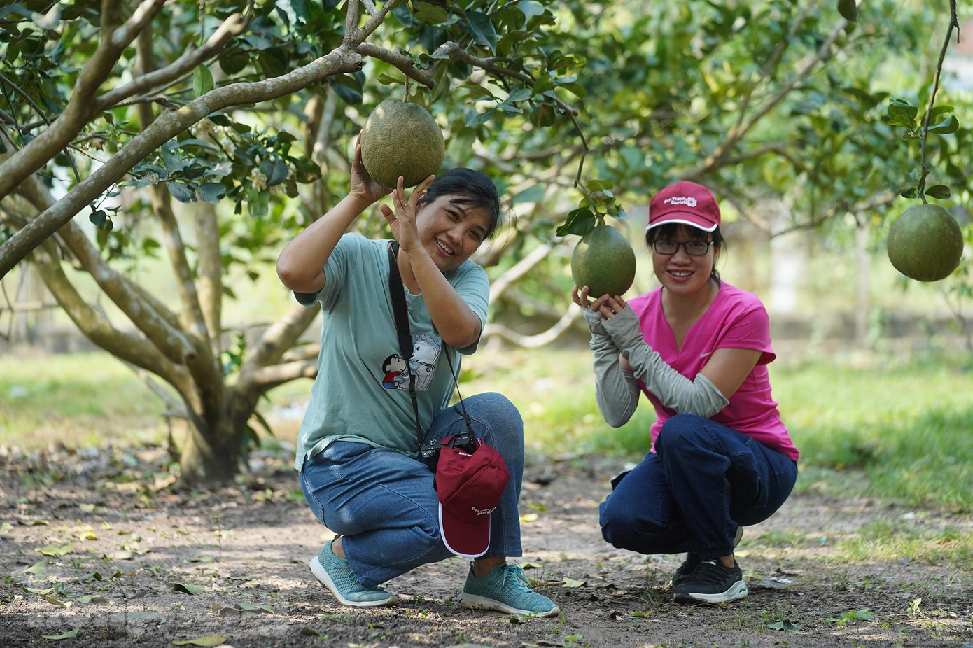 Vườn trái cây trạm dừng chân cho du khách trải nghiệm và chụp ảnh thoải mái. Nếu có nhu cầu, du khách có thể đặt mua trái cây ngay tại vườn.