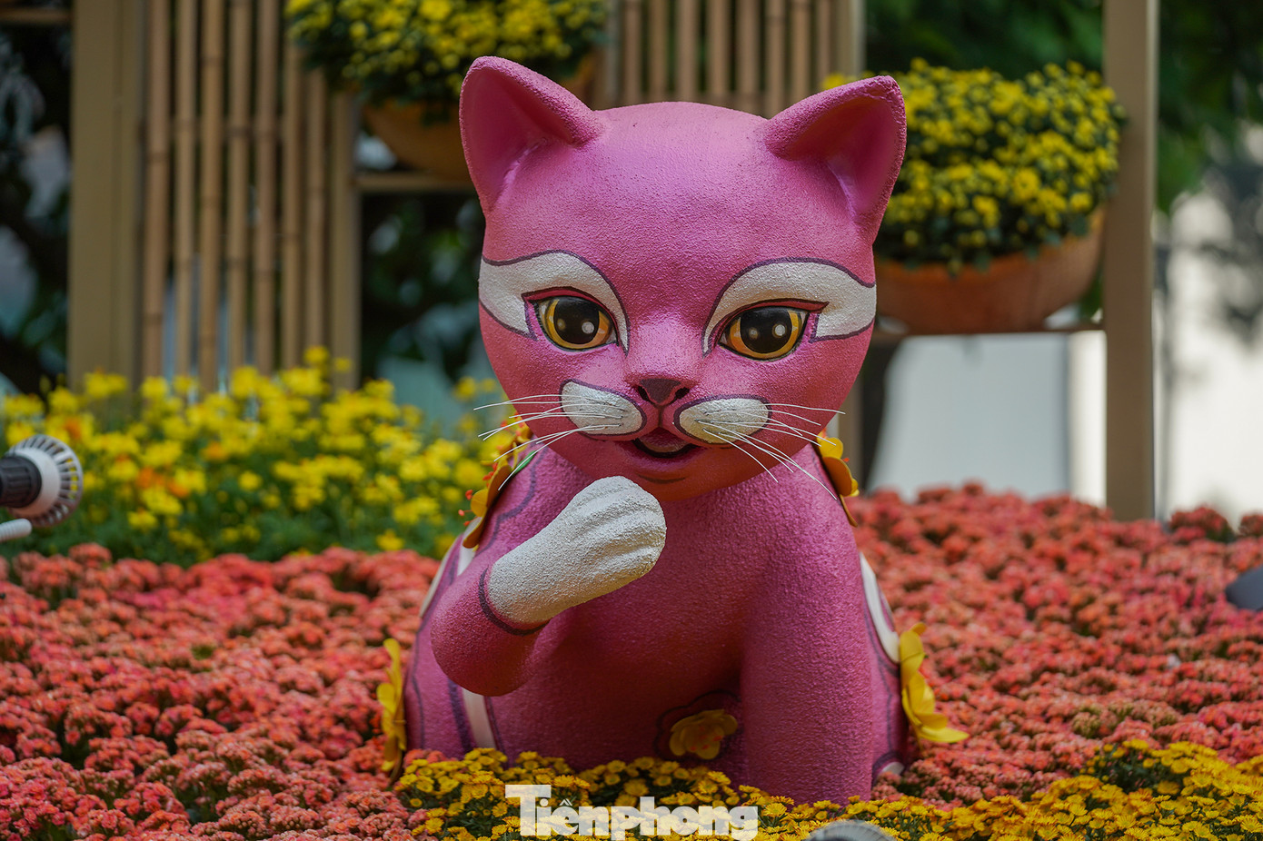Linh vật mèo trong tông màu hồng khác lạ và bắt mắt với tạo hình năng động. Sáu linh vật ở cổng Đường hoa có chiều cao từ 0,8-4,5m, được tạo hình bằng xốp, sơn mỹ thuật bề mặt giả gốm. Các linh vật đại diện cho năm Quý Mão tại vị trí cổng chính không chỉ mang nét biểu cảm đáng yêu của mèo, mà còn thể hiện những cử động đặc trưng như liếm tay (chân trước), vươn tay, đẩy bát. Đặc điểm đáng yêu này chắc chắn sẽ thu hút nhiều du khách nhỏ tuổi.