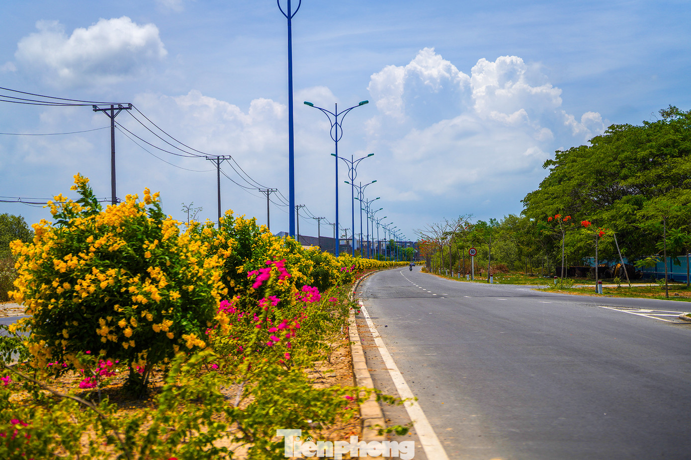 Những ngày này, đường nội đô trung tâm huyện nhuộm vàng sắc huỳnh liên đang bung nở.