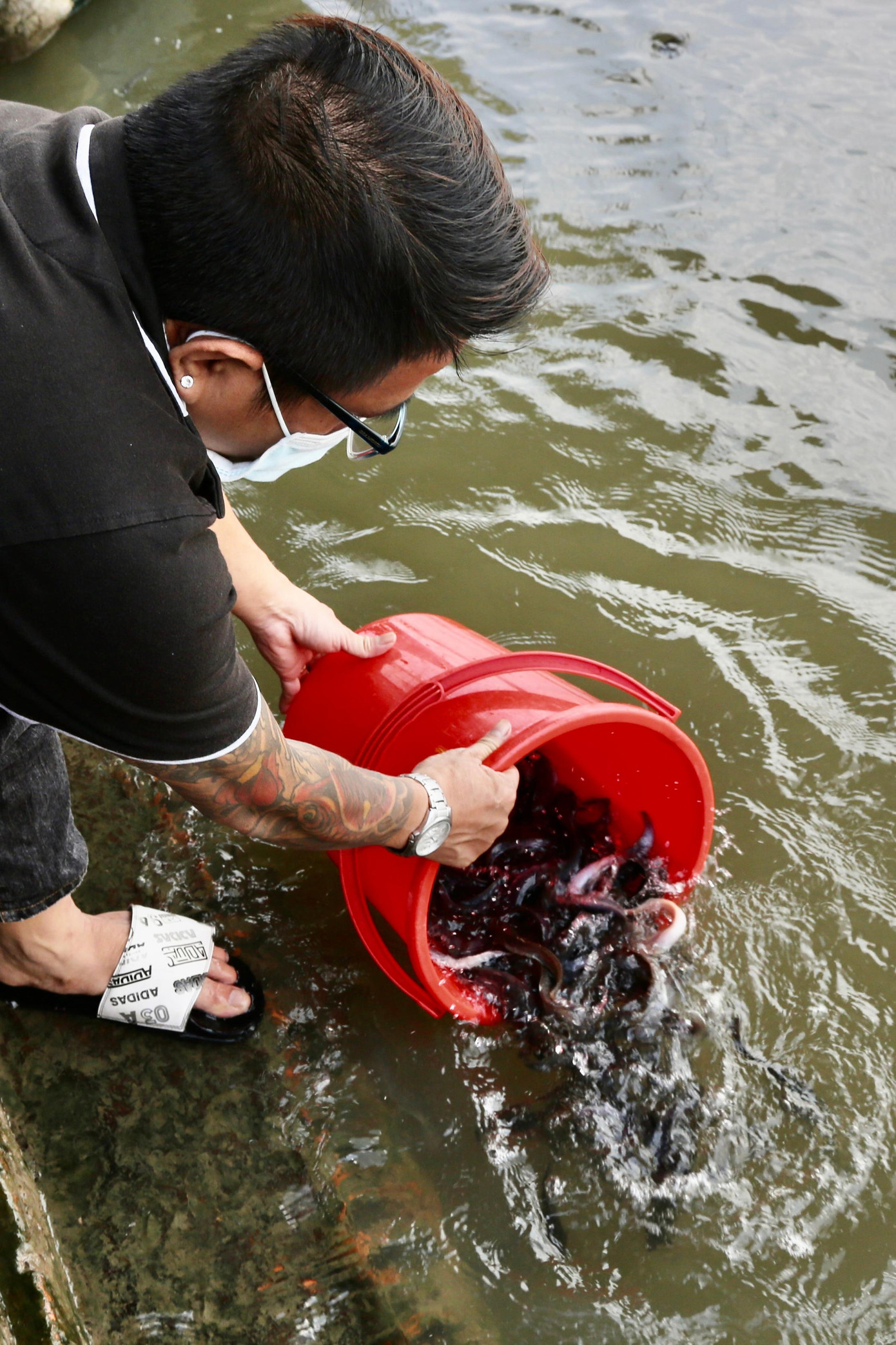 Anh Đinh Quang Duy (ngụ quận Gò Vấp) cho biết: "Phóng sinh phải nhẹ nhàng, phải dìm xô nước xuống sông để cá từ từ bơi ra. Mình mà đổ nhanh xuống, cá dễ ngửa bụng và chết lắm". Anh Đinh Quang Duy (ngụ quận Gò Vấp) cho biết: "Phóng sinh phải nhẹ nhàng, phải dìm xô nước xuống sông để cá từ từ bơi ra. Mình mà đổ nhanh xuống, cá dễ ngửa bụng và chết lắm".
