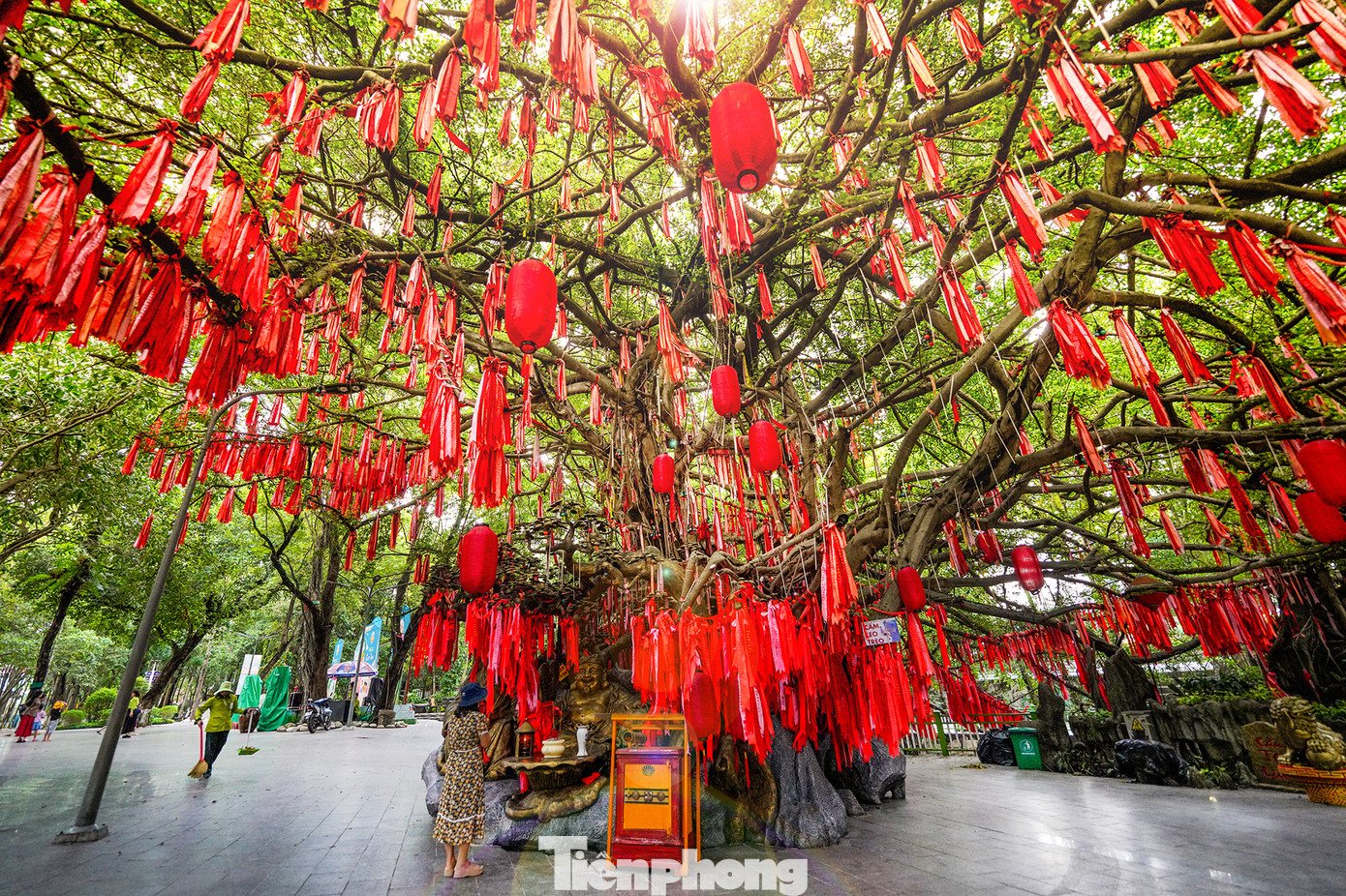 Cây ước nguyện là cây đa cổ thụ hơn 300 tuổi, nằm trong khu "rừng nguyên sinh" của Suối Tiên. Cây có tán rộng, cành lá xum xuê, cao vút lên trời xanh. Điều đặc biệt của cây là những dải lụa hồng, đỏ được người dân, du khách tham quan treo lên cây, ghi những lời ước nguyện, chủ yếu là về sức khỏe, cầu tình duyên, học hành, công việc,... Cây ước nguyện là cây đa cổ thụ hơn 300 tuổi, nằm trong khu "rừng nguyên sinh" của Suối Tiên. Cây có tán rộng, cành lá xum xuê, cao vút lên trời xanh. Điều đặc biệt của cây là những dải lụa hồng, đỏ được người dân, du khách tham quan treo lên cây, ghi những lời ước nguyện, chủ yếu là về sức khỏe, cầu tình duyên, học hành, công việc,...