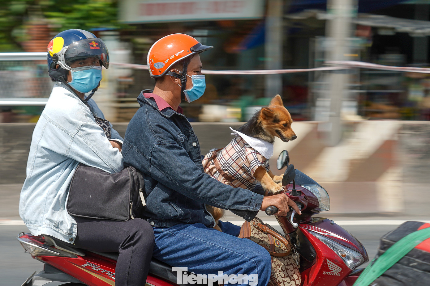 Hình ảnh đáng yêu trên cung đường "xuân vận" của người miền Tây. Hình ảnh đáng yêu trên cung đường "xuân vận" của người miền Tây.