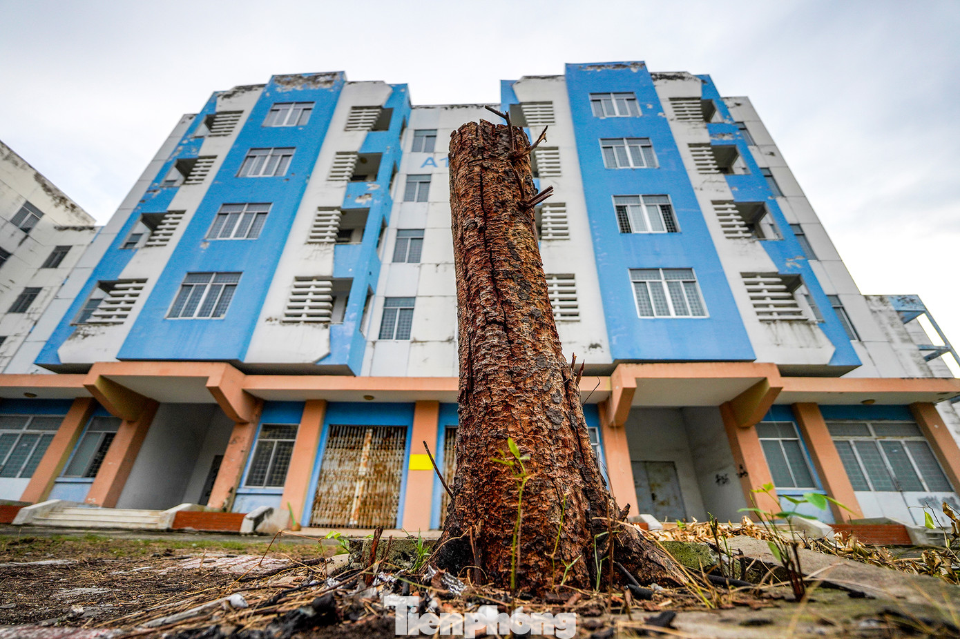 Tại nhiều khu nhà bỏ trống, tường bên ngoài đã bong tróc sơn, bạc màu, rêu bám. Tầng trệt của các tòa nhà cửa đóng kín, bám đầy bụi.