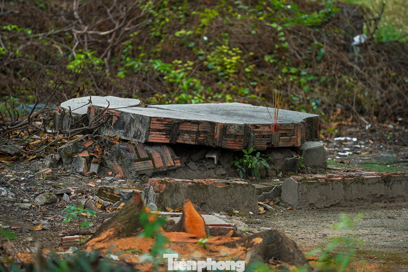 Hiện tại, việc bốc mộ tại nghĩa trang được ký kết với Công ty TNHH MTV Môi trường đô thị TPHCM (Citenco) để đảm bảo vệ sinh môi trường.