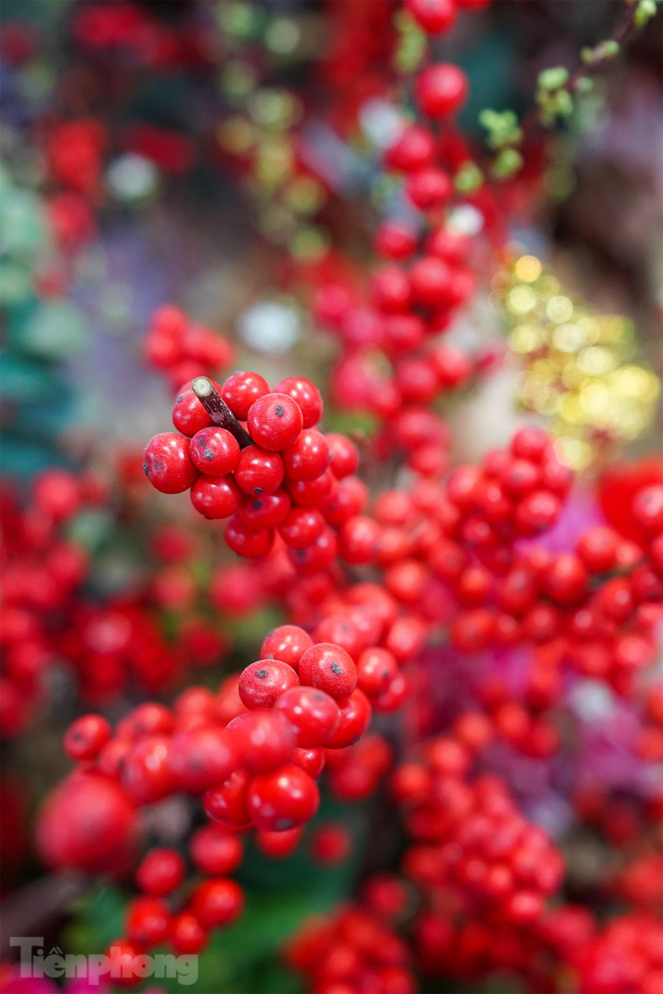 10 cành hoa Đào Đông (Ilex), xuất xứ Nhật Bản có giá gần 2,5 triệu.