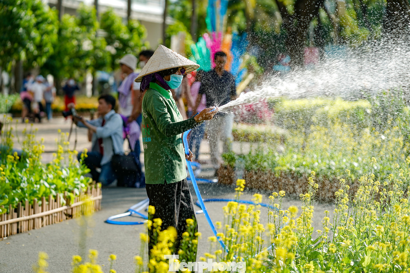 Mỗi ngày, BTC đường hoa cho nhân viên tưới cây hai lần để dưỡng và giảm nhiệt.