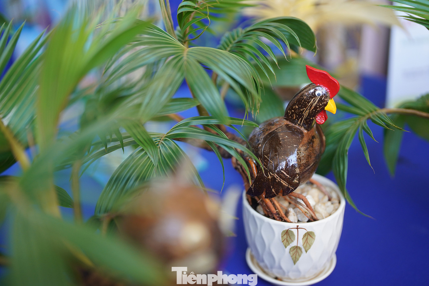 Chậu dừa bonsai cảnh hình linh vật Dậu (con gà) có giá 350.000 đồng.