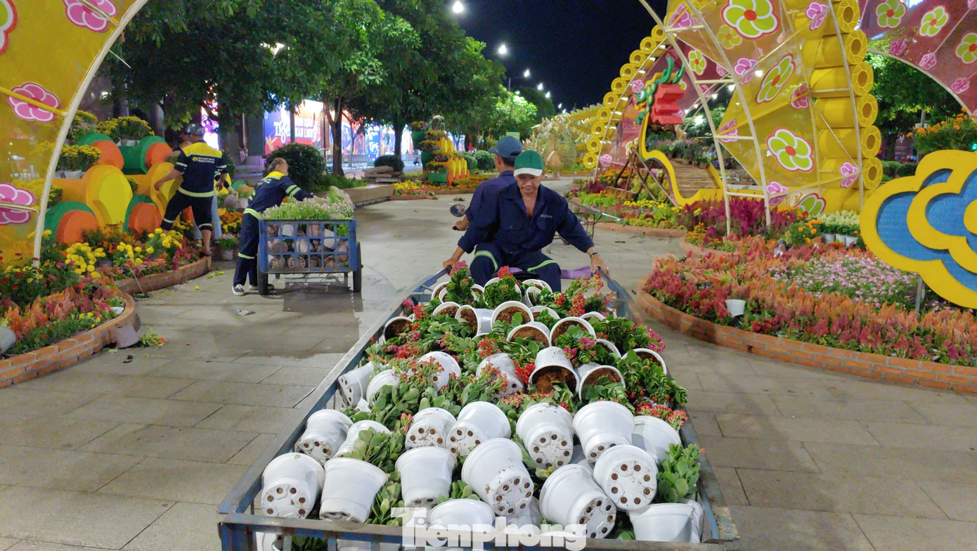 Công nhân thu gom các chậu hoa nhỏ.