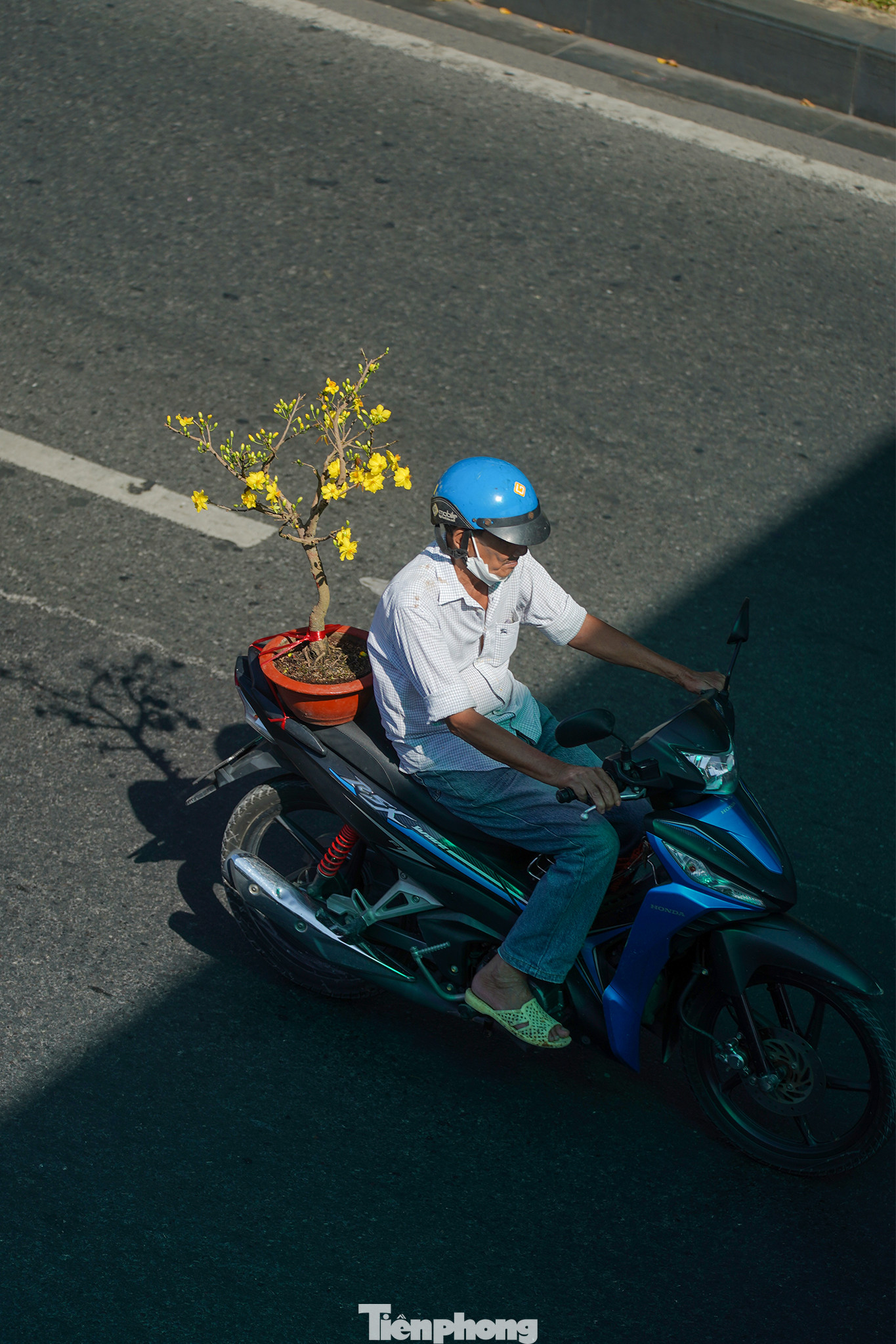 Đi dọc các tuyến phố, có thể thấy nhiều người dân mua hoa tết với kích cỡ nhỏ, vừa túi tiền, tự vận chuyển.
