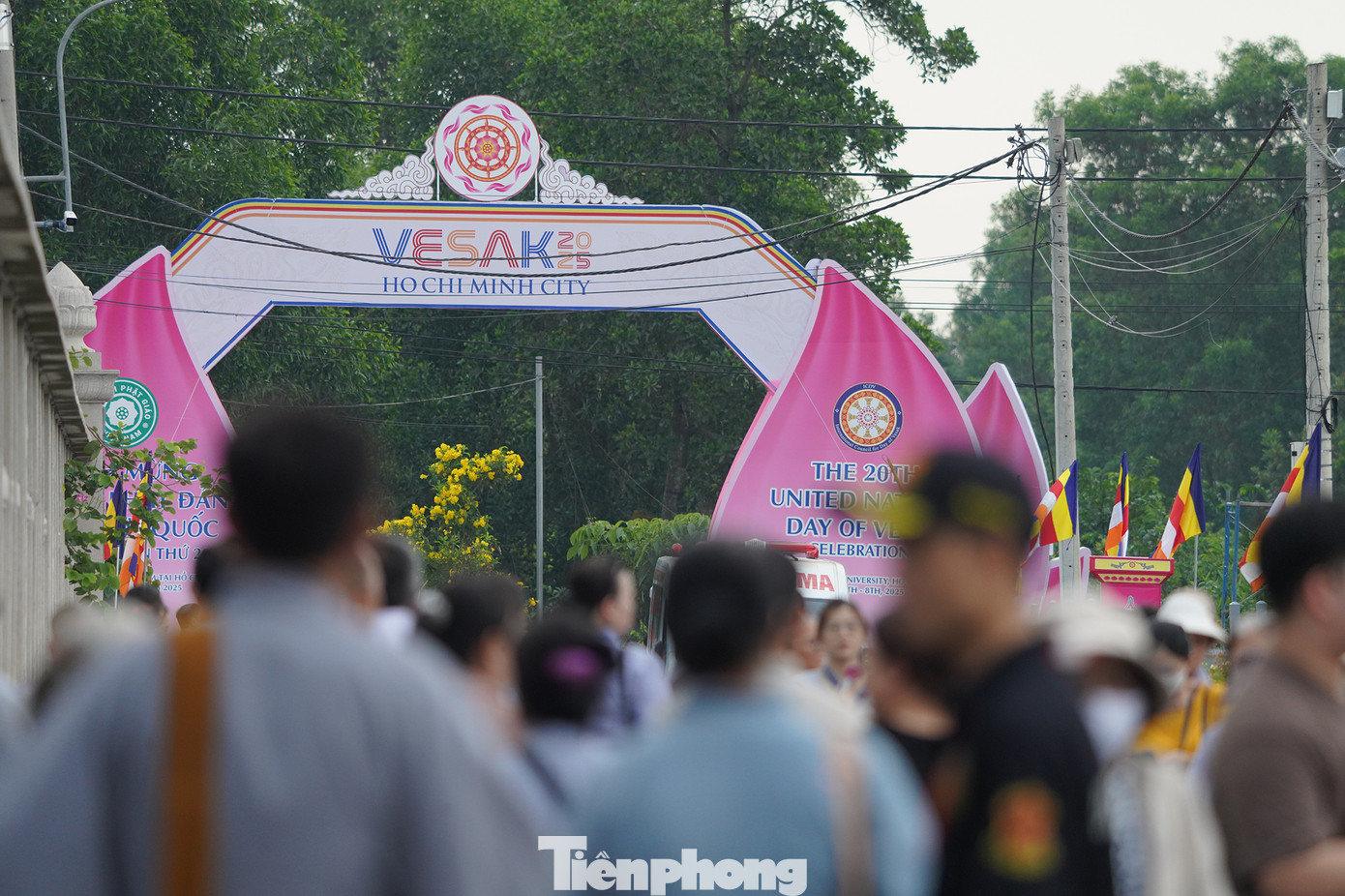 Ngoài hoạt động chiêm bái xá lợi Đức Phật, trong ba ngày diễn ra lễ, ở Học viện Phật giáo diễn ra nhiều hoạt động, gồm trưng bày 87 bảo vật quốc gia về Phật giáo qua các thời kỳ từ khi tôn giáo này du nhập vào Việt Nam, thả 12.000 hoa đăng, thượng cờ Phật giáo 500 m2...