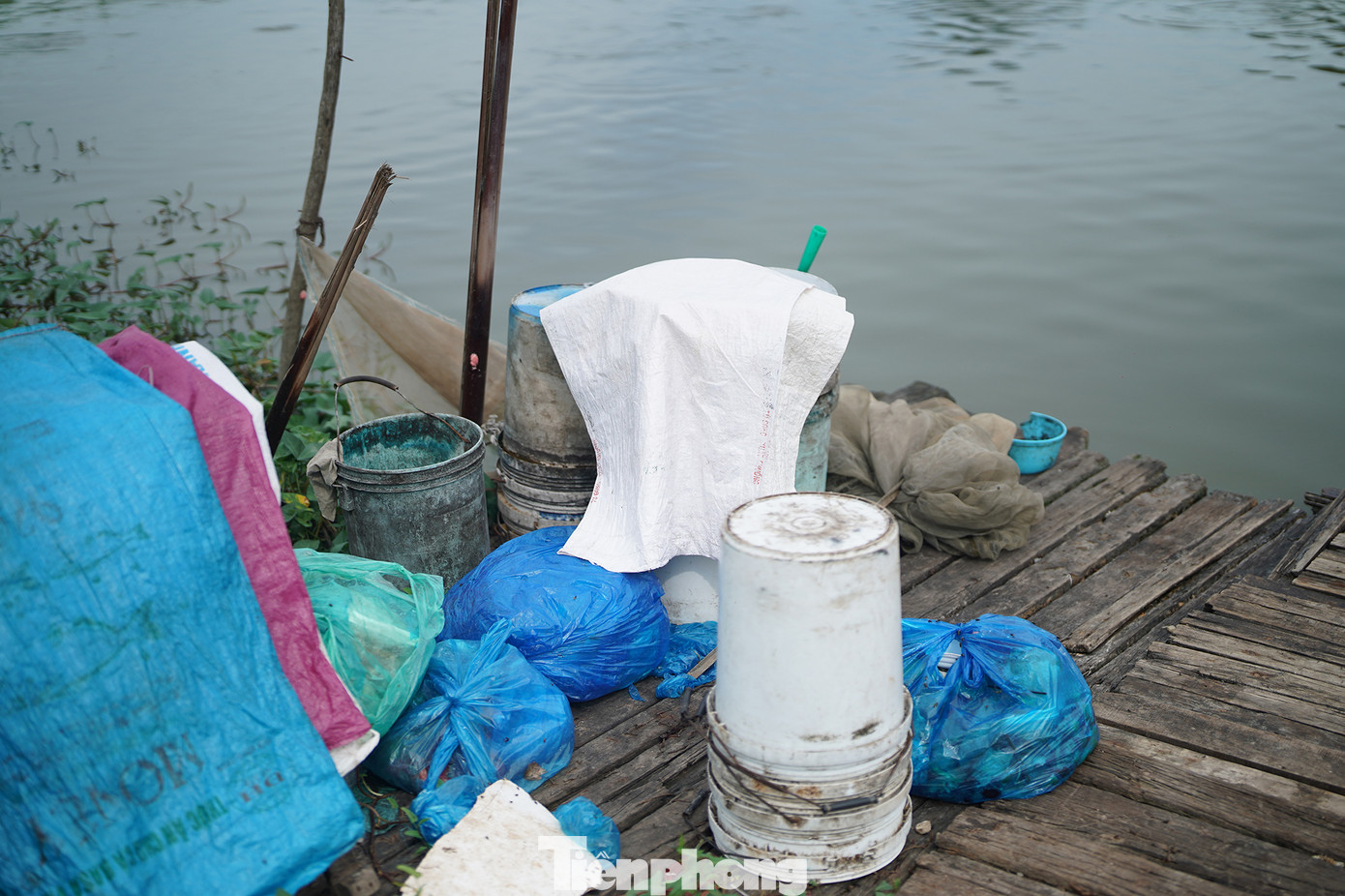 Những xô thức ăn phủ bạt phơi nắng mưa. Có những ngày, các hộ nuôi cá ở đây phải chia nhau đồ ăn thừa xin từ các quán để giảm tiền thức ăn cho cá.