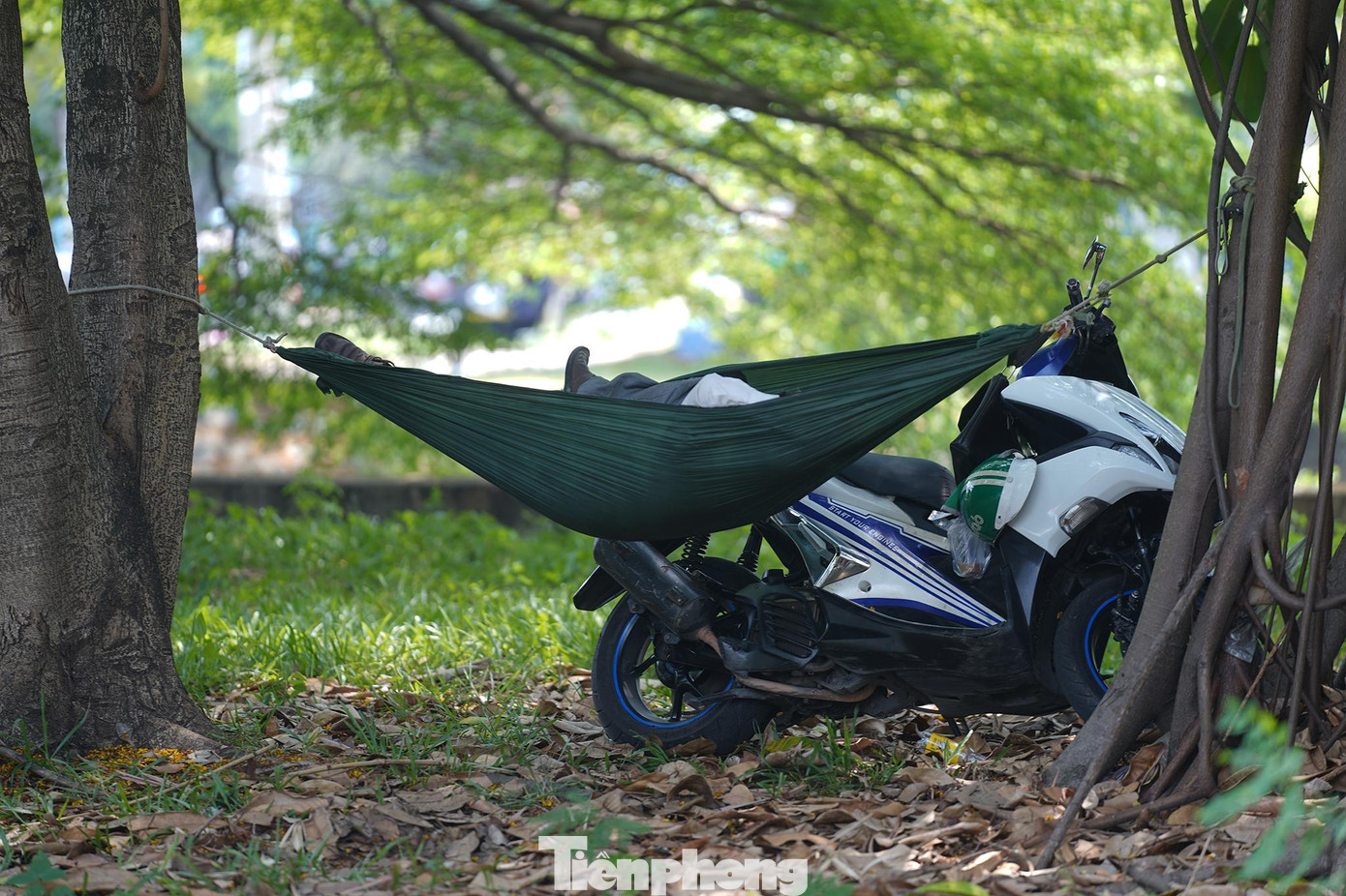 Một bác tài khác cũng tìm được gốc cây đa lý tưởng để ngả lưng, chờ qua giờ trưa. Một bác tài khác cũng tìm được gốc cây đa lý tưởng để ngả lưng, chờ qua giờ trưa.