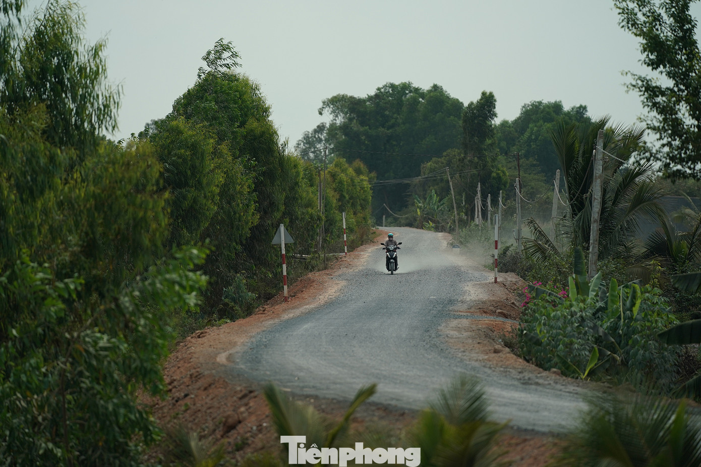 Con đường kênh vừa mới được thi công dẫn vào các ao tôm phía sau khu dân cư ấp 1. Chỉ cần người lạ xuất hiện, có mang theo máy ảnh thì lập tức các hộ nuôi tôm sẽ cho người ra hỏi, ngăn cản.