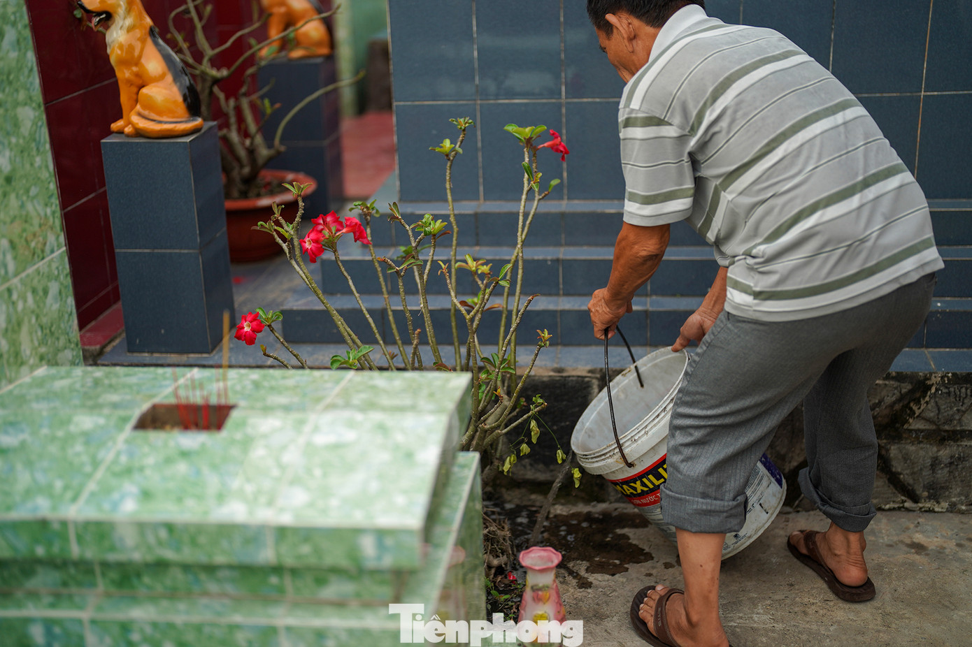 Ông Nguyễn Thành Tân (ngụ quận Bình Tân) đang chăm lại cây sứ ở khu mộ của cha và mẹ. "Cây sứ tốt thật, cả năm mới lên một lần mà nó vẫn xanh tốt. Đây chính là dịp để gia đình, con cháu đoàn tụ, sum vầy và bày tỏ những tâm tư, tình cảm với những người đã khuất trong một năm vừa qua. Tảo mộ còn có ý nghĩa thể hiện lòng hiếu kính, sự biết ơn của con cháu với ông bà, tổ tiên, nhắc nhở con cháu về đạo lý chim có tổ, người có tông", ông Tân nói. Ông Nguyễn Thành Tân (ngụ quận Bình Tân) đang chăm lại cây sứ ở khu mộ của cha và mẹ. "Cây sứ tốt thật, cả năm mới lên một lần mà nó vẫn xanh tốt. Đây chính là dịp để gia đình, con cháu đoàn tụ, sum vầy và bày tỏ những tâm tư, tình cảm với những người đã khuất trong một năm vừa qua. Tảo mộ còn có ý nghĩa thể hiện lòng hiếu kính, sự biết ơn của con cháu với ông bà, tổ tiên, nhắc nhở con cháu về đạo lý chim có tổ, người có tông", ông Tân nói.