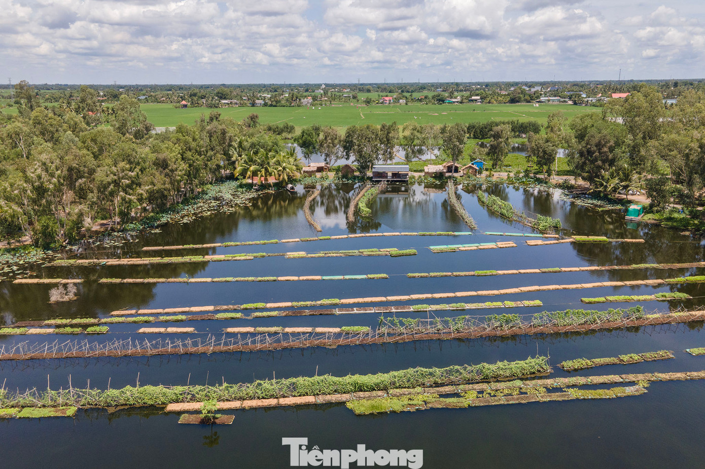 Mô hình trồng rau trên bè thủy sinh tại ấp 3, xã Mỹ An, huyện Thủ Thừa, tỉnh Long An của ông Nguyễn Văn Đắc. Mô hình trồng rau trên bè thủy sinh tại ấp 3, xã Mỹ An, huyện Thủ Thừa, tỉnh Long An của ông Nguyễn Văn Đắc.