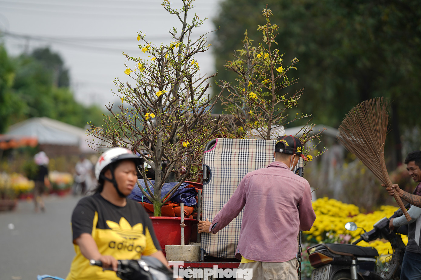 Khi một số nhà vườn chuẩn bị về quê thì giá hoa cũng rẻ đi.