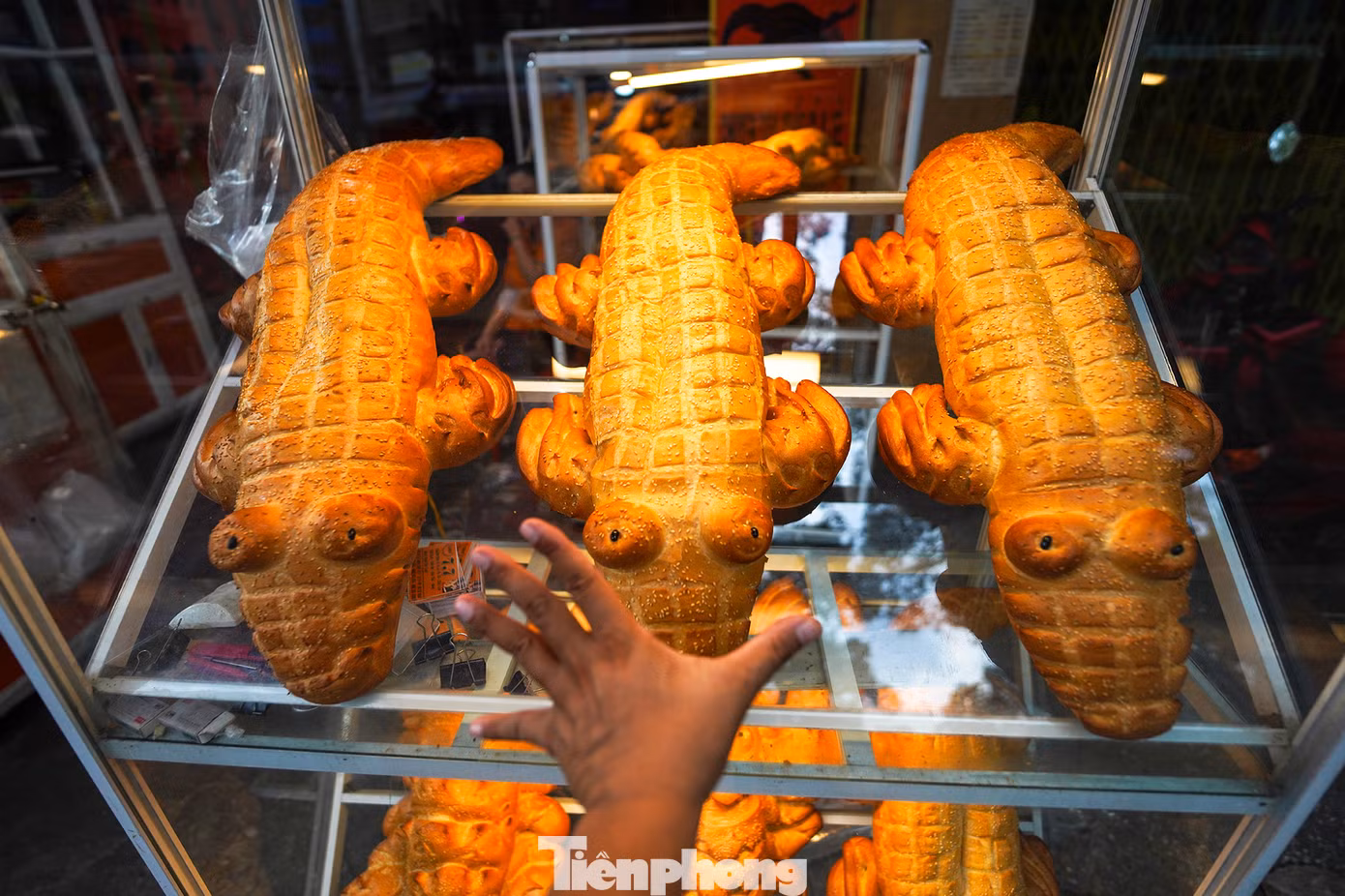 Bánh mì dạng con vật không có khuôn, thợ làm bánh phải làm thủ công từng công đoạn tạo hình mắt, mũi, miệng, vảy... Theo chủ tiệm, công đoạn này là quan trọng nhất, quyết định thần thái sản phẩm nên đòi hỏi sự tỉ mỉ vì phải tính được chi tiết phình nở khi bánh chín.