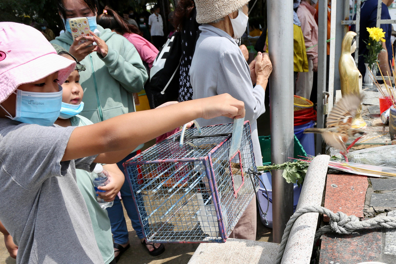 Một sinh linh được tung cánh tự do bay vào bầu trời. Một sinh linh được tung cánh tự do bay vào bầu trời.