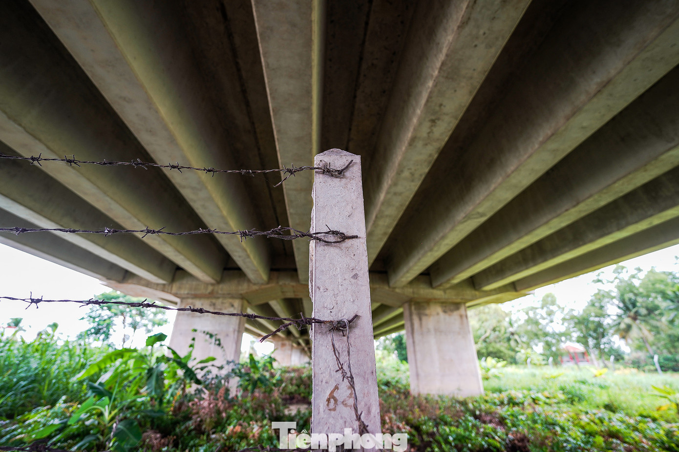 Khu vực được xem là mất cảnh quan dưới cao tốc TPHCM – Trung Lương là đoạn cầu bắt qua Vàm Cỏ Tây, người dân chăn nuôi gia súc, gia cầm… vô tư ra vào khu vực cấm, khu vực nguy hiểm. Không những vậy, có cả bãi phế liệu, bãi chứa hàng hóa đang hoạt động bên trong hàng rào cao tốc.