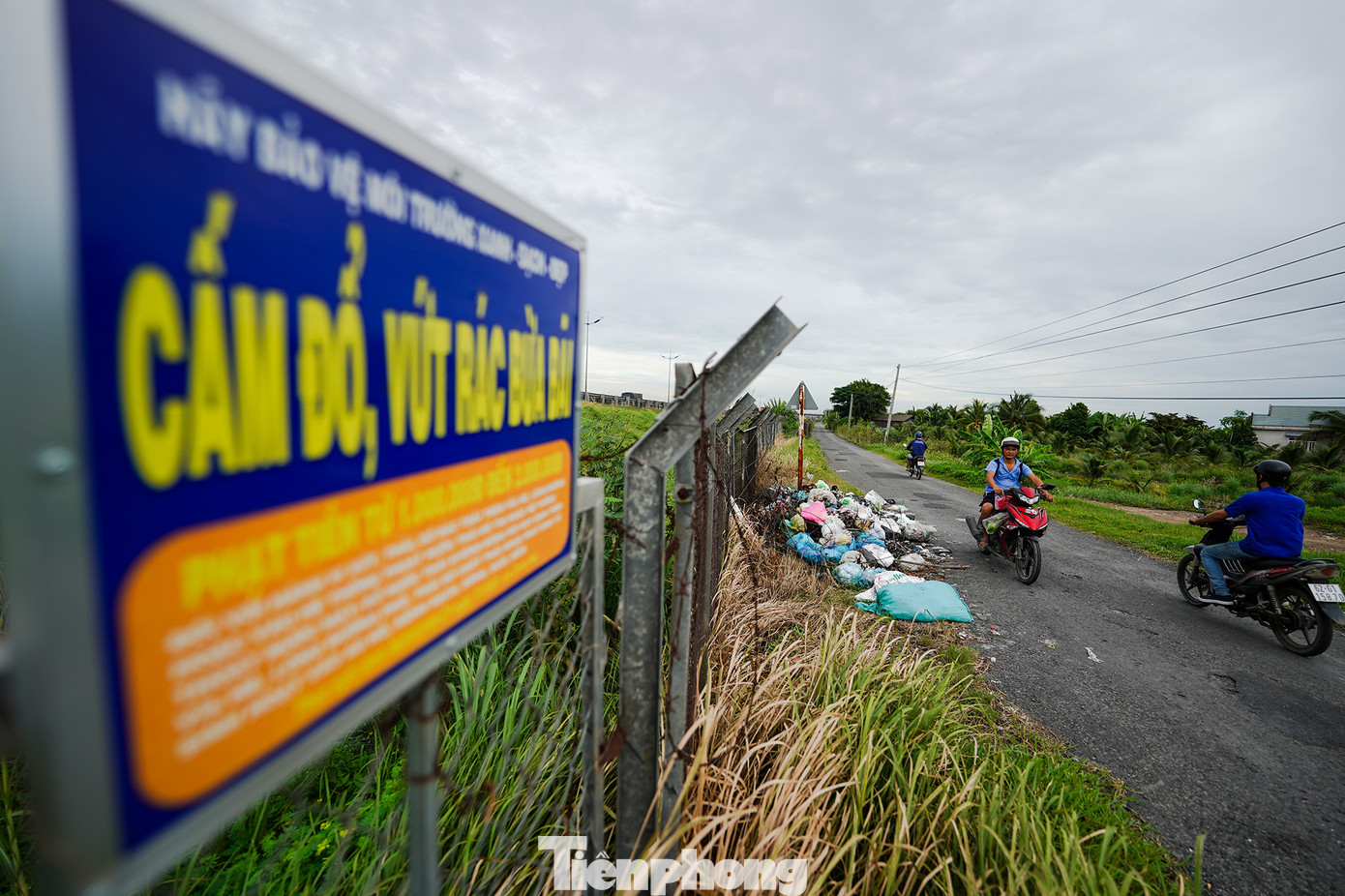 Hình ảnh ghi nhận tại địa phận xã Nhị Thành (huyện Bến Lức, Long An) Hình ảnh ghi nhận tại địa phận xã Nhị Thành (huyện Bến Lức, Long An)