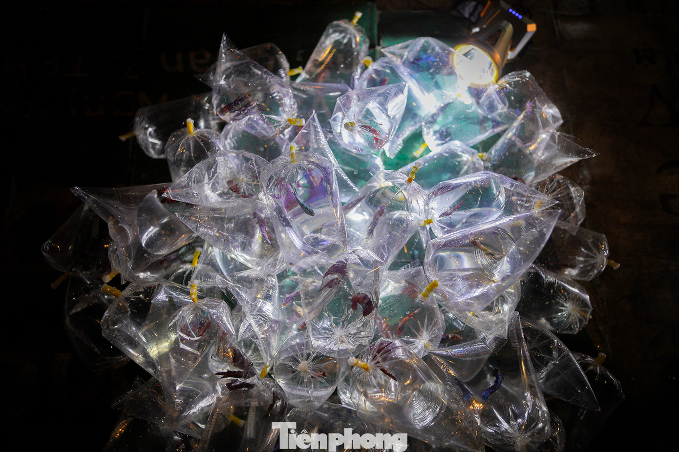 Ông Năm, một người bán cá cho biết, 20 năm nay, ngày nào ông cũng chạy xe máy đến khu chợ mua cá về bán lại cho khách. “Tôi đi từ 1 đến khoảng 2 giờ sáng. Lúc này, đã có một số người bắt đầu phân loại, cân, bơm ô xy và chia cá thành nhiều túi nhỏ để bán”, ông Năm cho biết thêm.