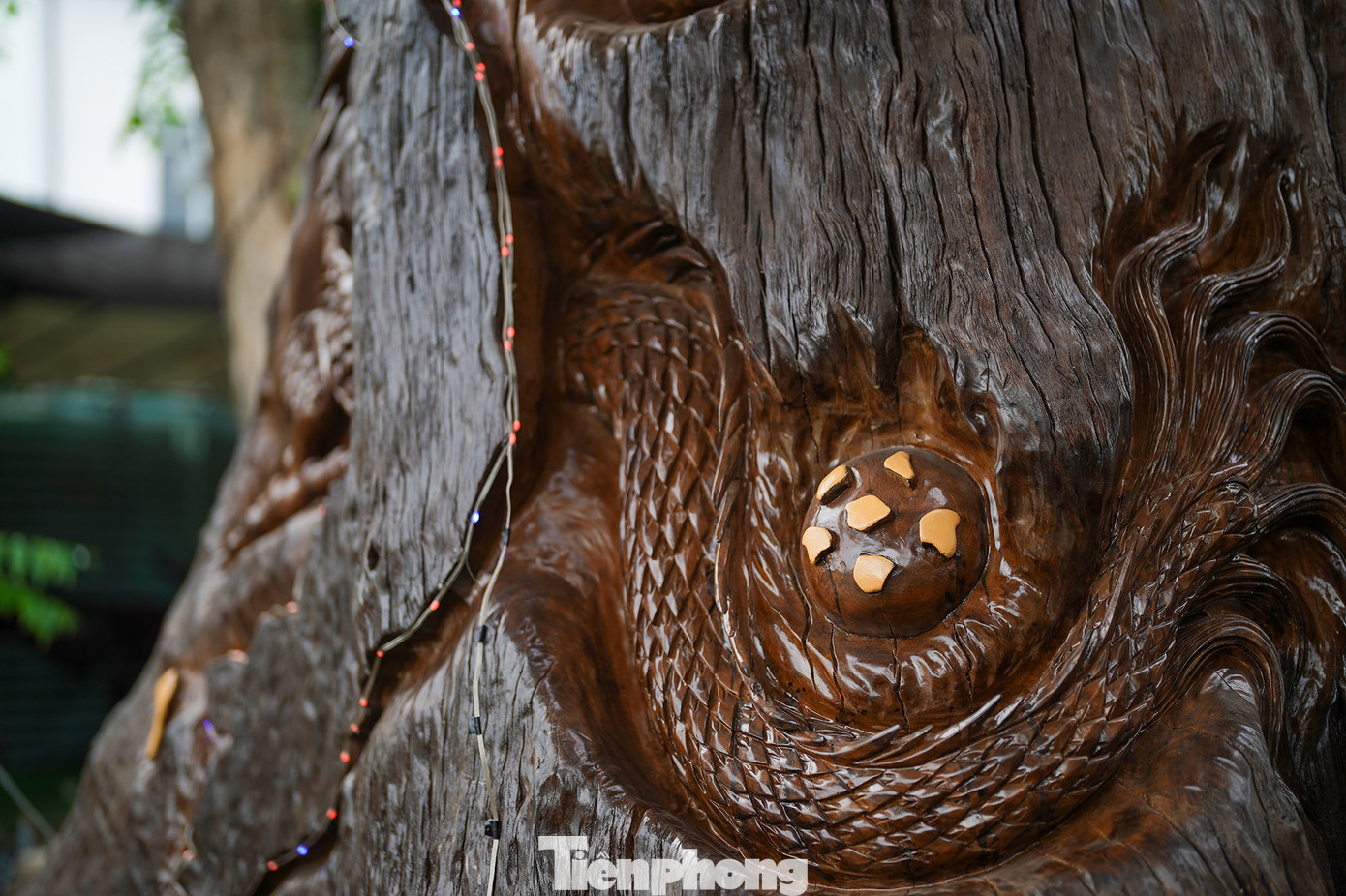 Tác phẩm này của anh Nguyễn Trường Tiến, người có duyên với nghệ thuật điêu khắc. Tác phẩm có tên "Đất nước yêu thương" với điểm nhấn là hai quần đảo Hoàng Sa, Trường Sa được thể hiện với hình tượng 2 viên ngọc quý. Tác phẩm này của anh Nguyễn Trường Tiến, người có duyên với nghệ thuật điêu khắc. Tác phẩm có tên "Đất nước yêu thương" với điểm nhấn là hai quần đảo Hoàng Sa, Trường Sa được thể hiện với hình tượng 2 viên ngọc quý.