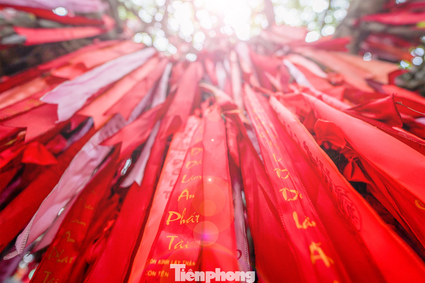 Những dải lụa được treo thành từng chùm, xen kẽ nhau, tạo nên khung cảnh vô cùng bắt mắt và ấn tượng. Không chỉ vậy, mỗi dải lụa đều mang theo những ước mơ, hy vọng của mỗi người. Điều này khiến cho cây ước nguyện trở thành một địa điểm không thể bỏ qua khi đến Suối Tiên. Những dải lụa được treo thành từng chùm, xen kẽ nhau, tạo nên khung cảnh vô cùng bắt mắt và ấn tượng. Không chỉ vậy, mỗi dải lụa đều mang theo những ước mơ, hy vọng của mỗi người. Điều này khiến cho cây ước nguyện trở thành một địa điểm không thể bỏ qua khi đến Suối Tiên.