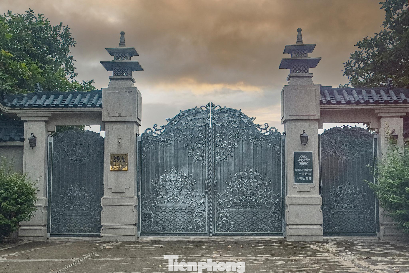 Ông Trần Đình Thành (67 tuổi, quê tỉnh Bà Rịa – Vũng Tàu), Đại biểu Quốc hội khoá XI; Bí thư Tỉnh uỷ Đồng Nai hơn 2 nhiệm kỳ (từ năm 2004 đến 2015). Trước khi giữ chức vụ Bí thư Tỉnh ủy, ông Trần Đình Thành từng giữ các chức vụ Trưởng ban Tuyên giáo Tỉnh ủy; Phó Bí thư Tỉnh ủy Đồng Nai. Tại Đồng Nai, ông Trần Đình Thành nổi tiếng trong giới cây cảnh.