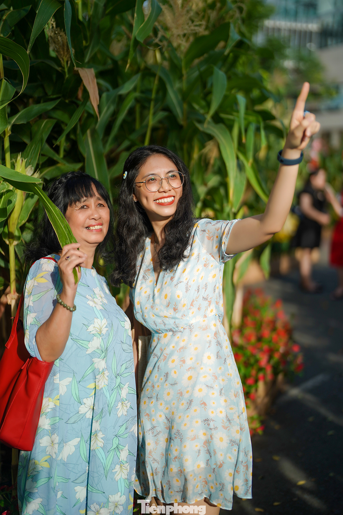 Chịu nắng một chút, nhiều gia đình đã có những bức ảnh kỷ niệm ấn tượng. Đây cũng là lý nhiều du khách lựa chọn đi đường hoa vào ban ngày.