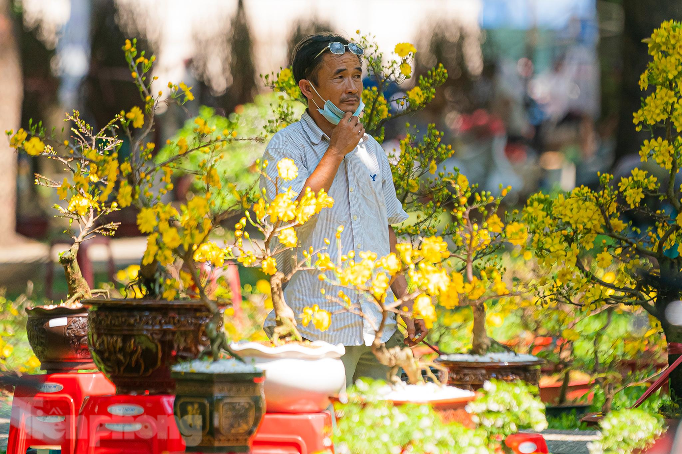 Ông Nguyễn Hữu Long, ngụ ở Bến Tre cho biết, năm nay do ảnh hưởng chung của dịch bệnh COVID-19 nên số lượng tiêu thụ hoa không nhiều. Ảnh: Quỳnh Trâm