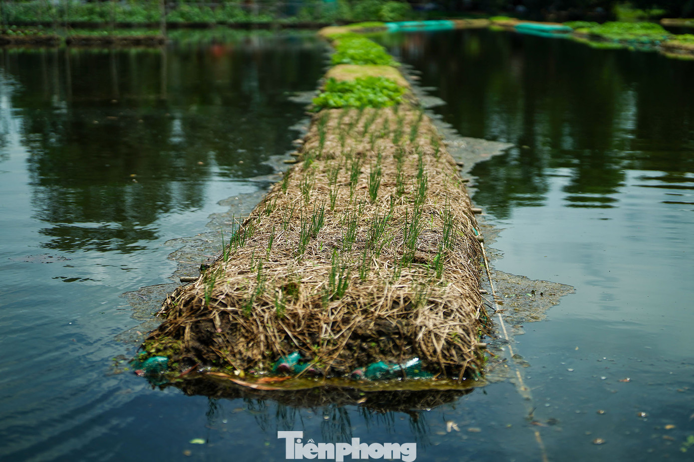 "Tôi cũng rất muốn giao lưu, giới thiệu mô hình nông nghiệp sạch cũng như triển khai các hoạt động giao lưu, tham quan...", anh Đắc hy vọng. "Tôi cũng rất muốn giao lưu, giới thiệu mô hình nông nghiệp sạch cũng như triển khai các hoạt động giao lưu, tham quan...", anh Đắc hy vọng.