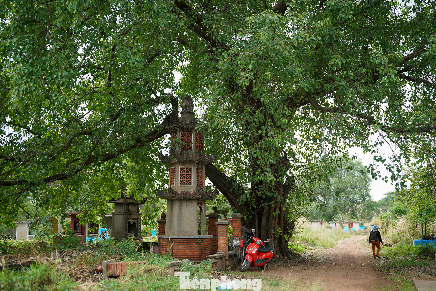 Do đó, UBND quận Bình Tân đã kiến nghị UBND TPHCM cho phép bốc mộ tập trung theo diện không có thân nhân để kết thúc giai đoạn 1 và giai đoạn 2 của dự án ngay trong năm 2023, tránh để quá lâu ảnh hưởng đến môi trường, an ninh trật tự.