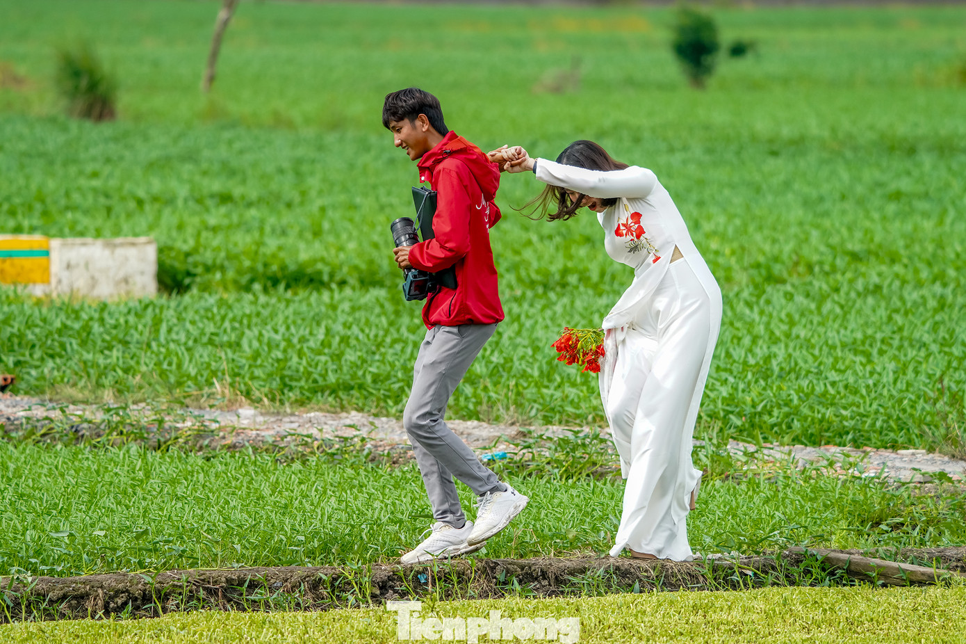 Với tán cây rực rỡ sắc hè phủ bóng cả một góc đường, nơi đây thu hút đông đảo bạn trẻ đến chụp ảnh.