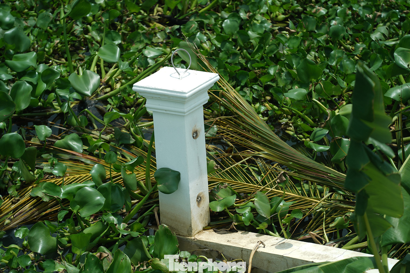 Đây là phần còn lại của hàng rào bờ kè trước nhà bà Lê Thị Thuỷ. Hai phần hàng rào của nhà bà Thuỷ đầu tư gần 1 tỷ đồng, mới hoàn thiện hơn một năm thì xảy ra sự cố.