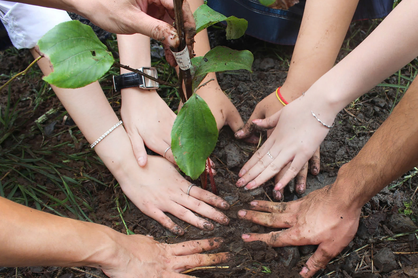 Những cây táo do cán bộ-chiến sĩ TPHCM và sinh viên nước bạn trồng. Cây táo là loại cây đặc biệt, sức sống dẻo dai, thích nghi với nhiều đặc tính môi trường. Ảnh: Thanh Tâm Những cây táo do cán bộ-chiến sĩ TPHCM và sinh viên nước bạn trồng. Cây táo là loại cây đặc biệt, sức sống dẻo dai, thích nghi với nhiều đặc tính môi trường. Ảnh: Thanh Tâm