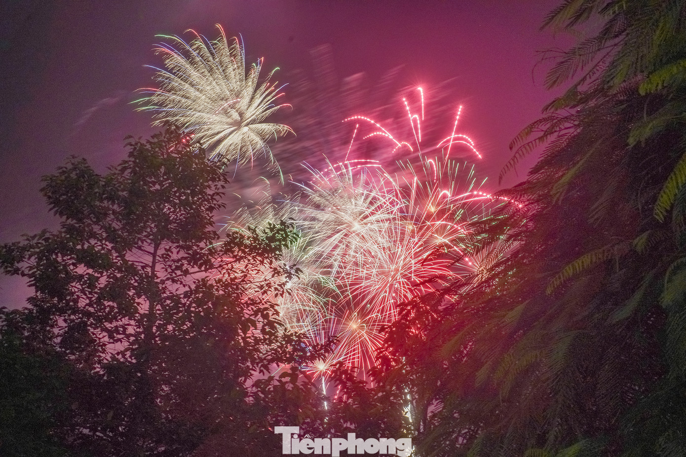 "Lần đầu tiên ngắm pháo hoa...xuyên tán cây thế này. Mấy năm trước thì tôi hay ra Quận 1 xem. Năm nay bắn gần nhà nên ra đây xem cho tiện. Lúc đầu cứ sợ là hàng cây che nhưng khi pháo hoa bắn lên thì thấy quá đẹp", cô Lê Hoàng Lan (55 tuổi, ngụ xã Vĩnh Lộc A, huyện Bình Chánh) tâm sự.