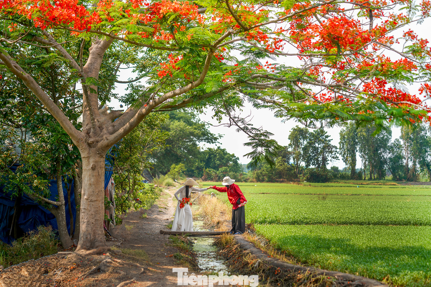 Để có được bộ ảnh chất lượng, ưng ý, nhiều bạn trẻ còn đầu tư thuê cả một ê-kíp chuyên nghiệp thực hiện.