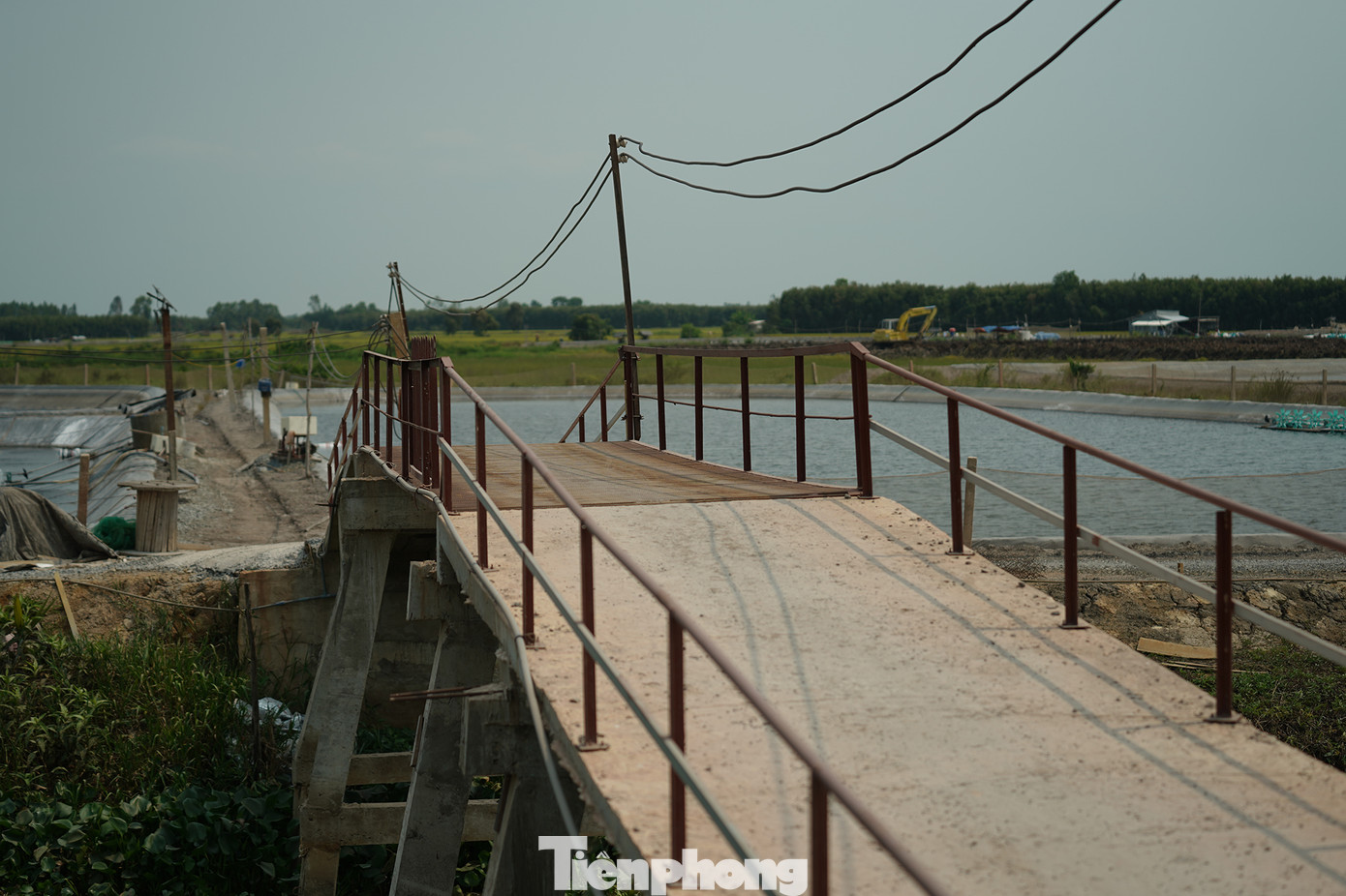 Mỗi khu nuôi tôm mọc lên thì một cây cầu tự xây dựng lên, nhiều công trình kiên cố hoàn thiện ngay trên đất lúa để phục vụ cho việc nuôi tôm...