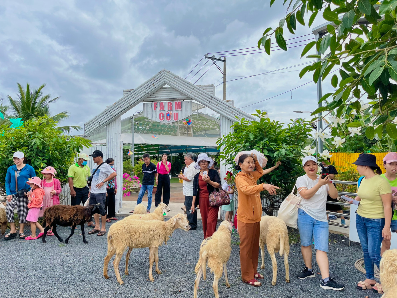 Vào tháng 6/2023, Trung tâm kỷ lục gia Việt Nam đã chính thức xác lập “Suối Tiên Farm là Nông trại trong khu du lịch trồng và chăm sóc các loại trái cây có xuất xứ từ nhiều quốc gia trên thế giới nhất tại Việt Nam&quot;.