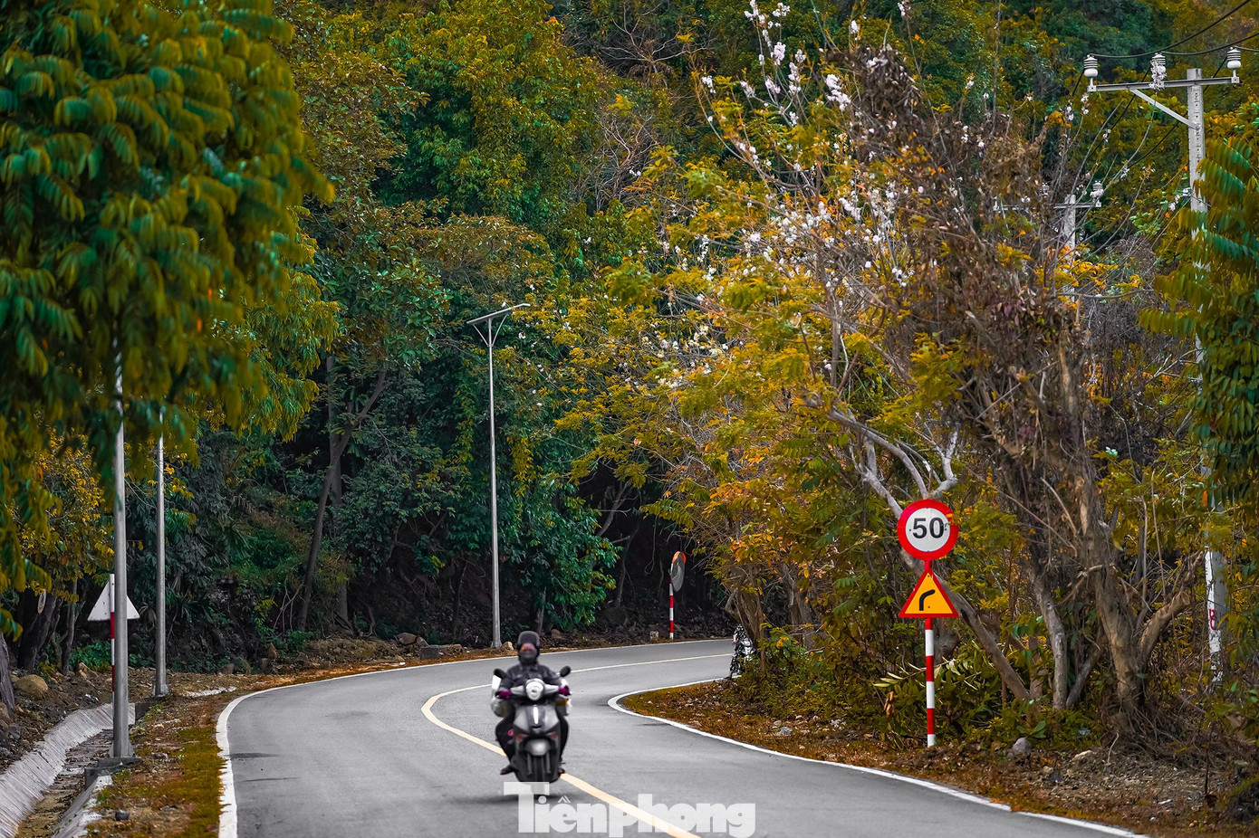 Cự ly 42 km chạy qua vườn quốc gia Côn Đảo, VĐV có thể nhìn ngắm hoa anh đào đang vào giai đoạn cuối mùa. Cự ly 42 km chạy qua vườn quốc gia Côn Đảo, VĐV có thể nhìn ngắm hoa anh đào đang vào giai đoạn cuối mùa.