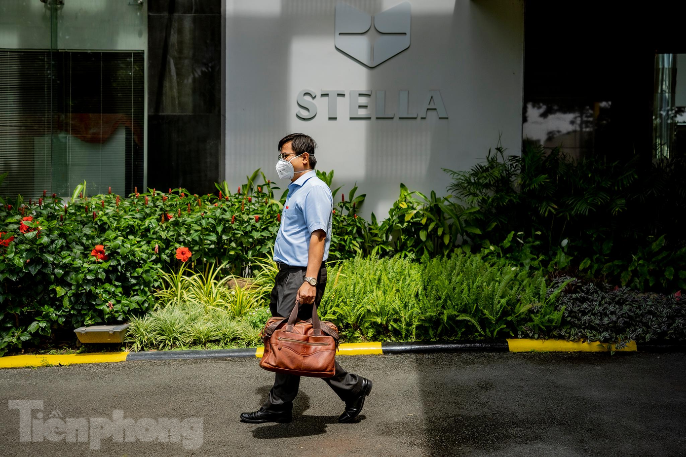 Stellapharm đã được Merck Sharp &amp; Dohme (MSD) ủy quyền cho tổ chức MPP (Medicines Patent Pool) - Tổ chức quốc tế về bằng sáng chế thuốc cấp giấy phép nhượng quyền tự nguyện việc sản xuất thuốc Molnupiravir tại Việt Nam vào ngày 10/1/2022.