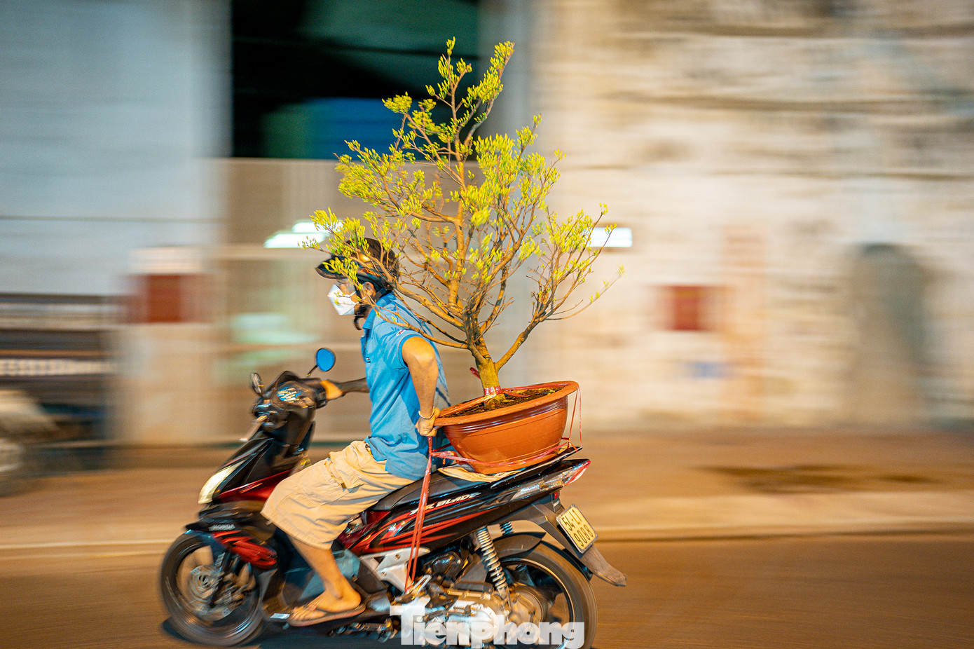 Anh Lê Quốc Bình (ngụ quận 8) vừa mua được cây mai giá 1,5 triệu đồng. "Năm nay, nhà vườn cũng nói thật là do thời tiết nên màu của hoa không được đậm lắm. Tôi mua cây mai với giá như thế này thì thấy cũng vừa túi tiền", anh Bình cho biết.