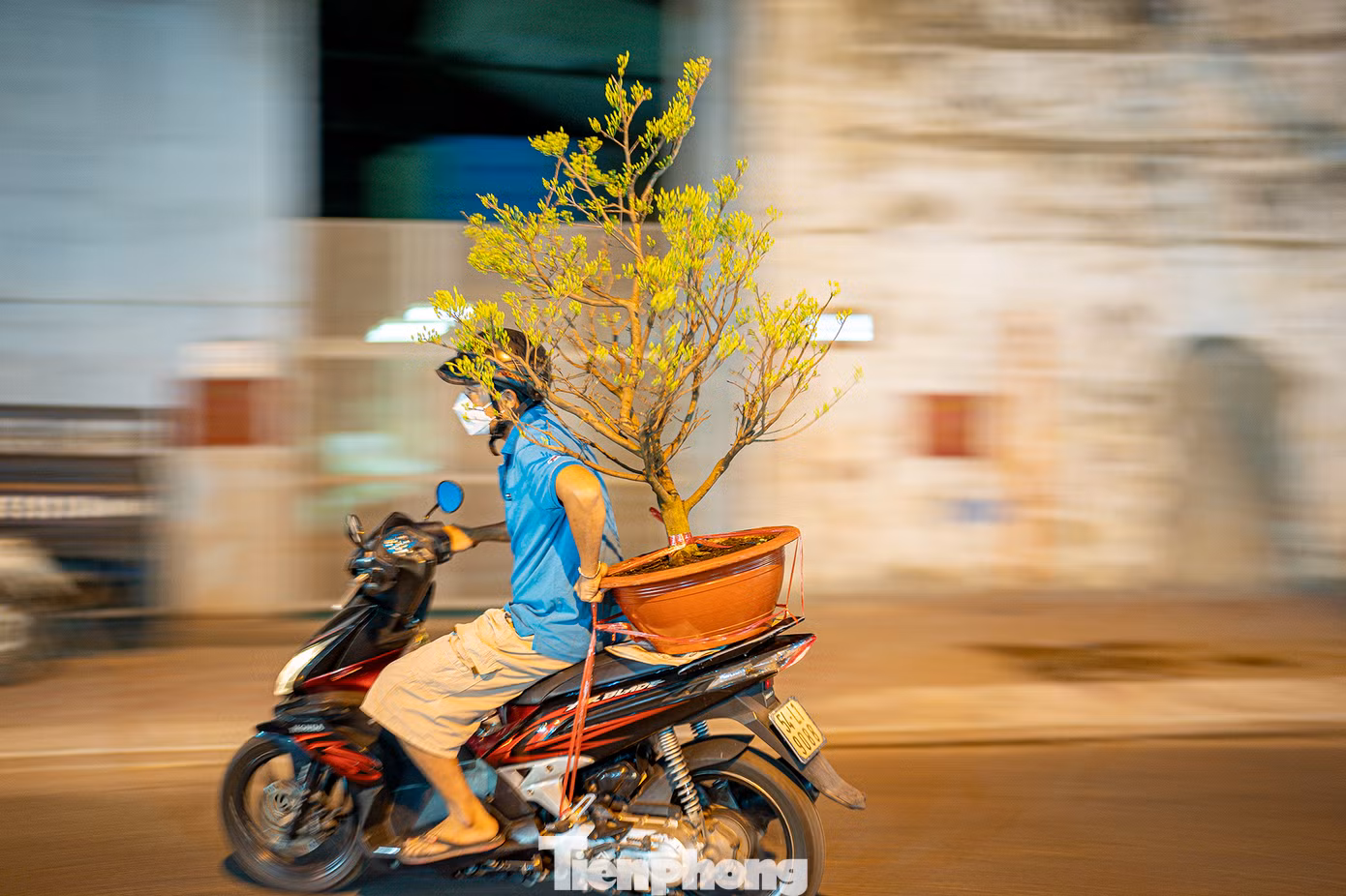 Anh Lê Quốc Bình (ngụ quận 8) vừa mua được cây mai giá 1,5 triệu đồng. "Năm nay, nhà vườn cũng nói thật là do thời tiết nên màu của hoa không được đậm lắm. Tôi mua cây mai với giá như thế này thì thấy cũng vừa túi tiền", anh Bình cho biết.