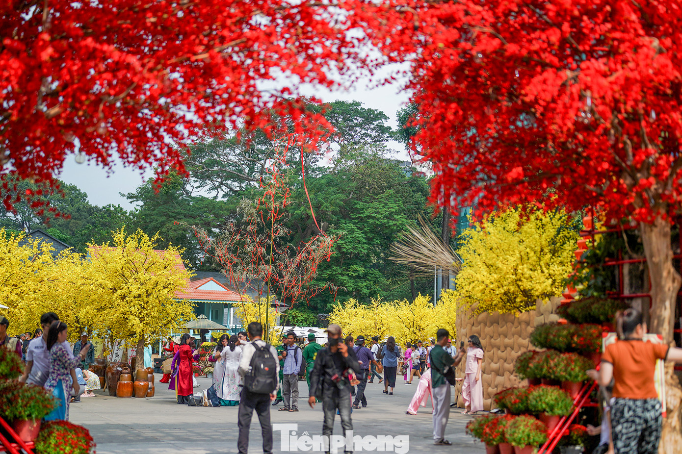 Phố Ông Đồ phía trước Nhà Văn hóa Thanh Niên có nhiều gian hàng đầu tư thiết kế, bày trí công phu.
