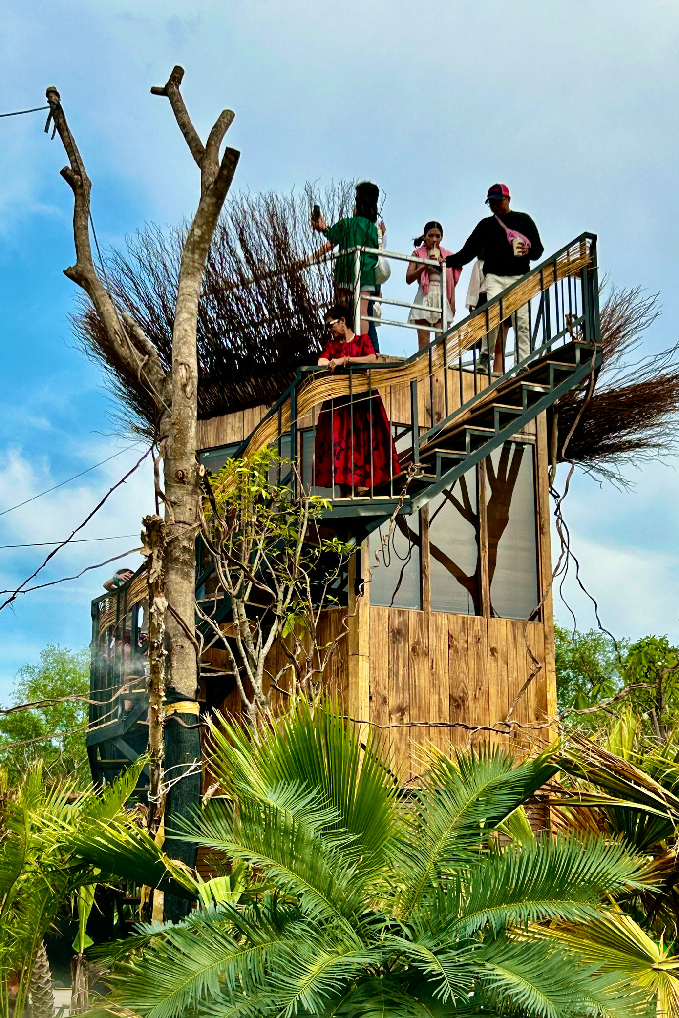 Từ trên cao, du khách có thể nhìn rõ những lối đi xuyên rừng với phông nền phía sau là toàn cảnh trung tâm TPHCM. Một số du khách cũng khá tiếc không mang máy ảnh cơ vào vì giá phụ thu đến 200.000 đồng để có thể chụp những bức ảnh chất lượng.