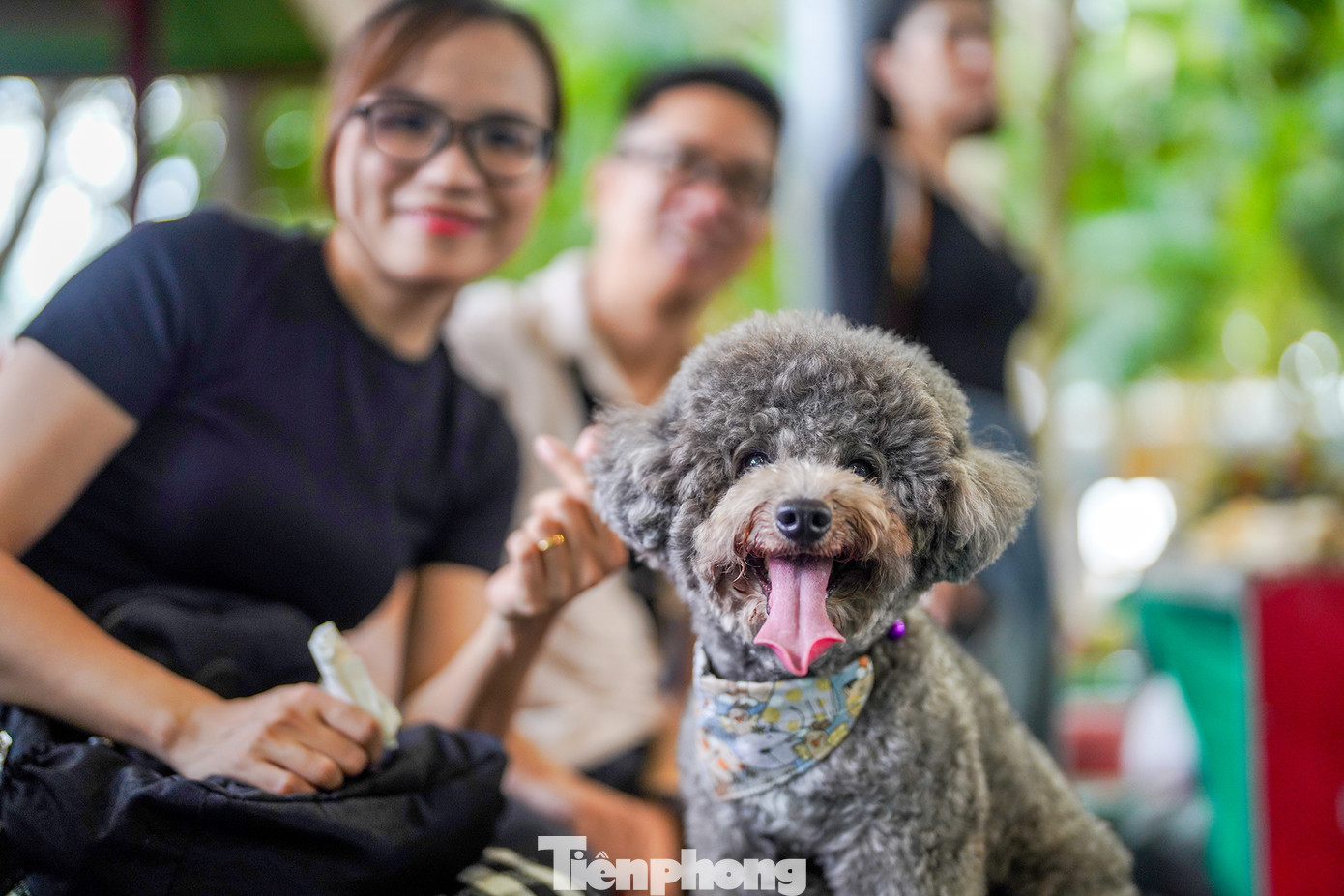 Điểm nhấn của ngày hội thú cưng là bốn cuộc thi dành cho cộng đồng yêu thú cưng, như: Cún cưng thời trang, Mèo cưng thời trang, Thú cưng ấn tượng, Cún cưng tranh tài với tổng giá trị giải thưởng là 20 triệu đồng.